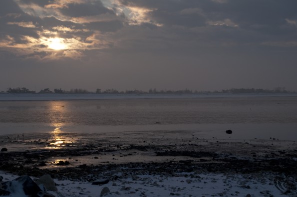 DSC_0197
