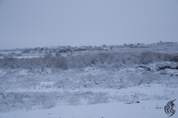 DSC_0110