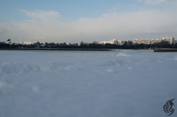 DSC_0019