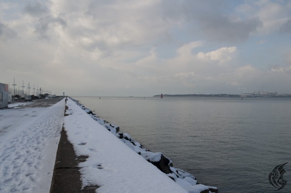 DSC_0011