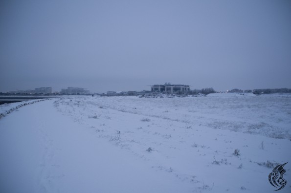 DSC_0095
