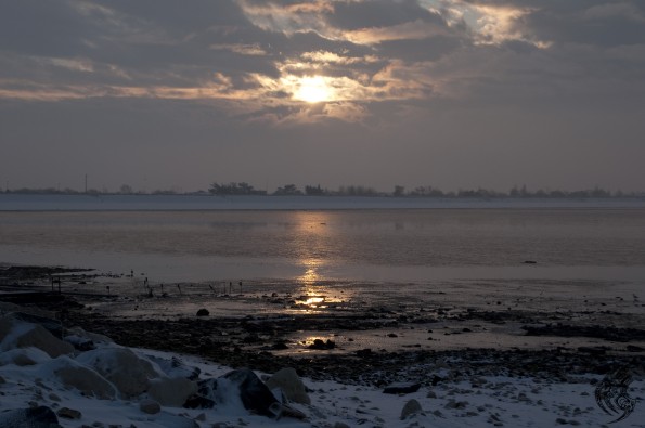DSC_0196