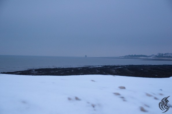 DSC_0107