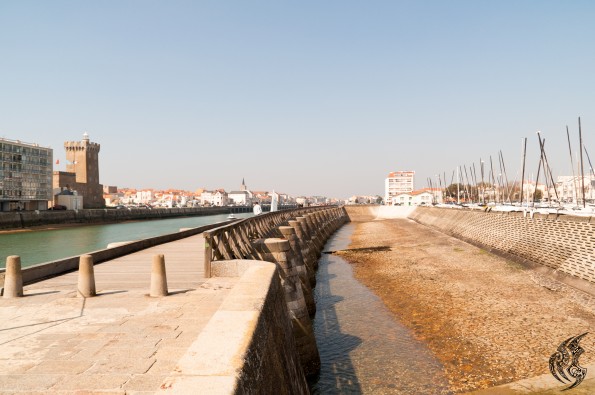 _DSC0052