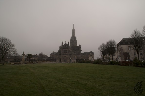 DSC_0226