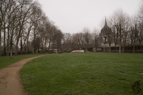DSC_0231