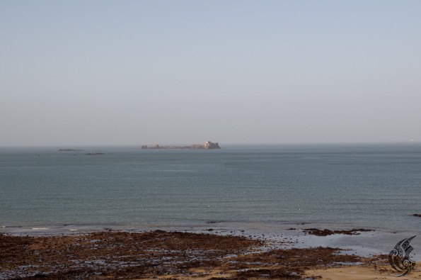 DSC_0120