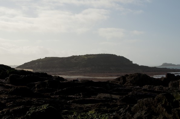 DSC_0061