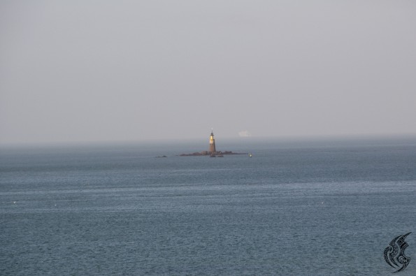 DSC_0096