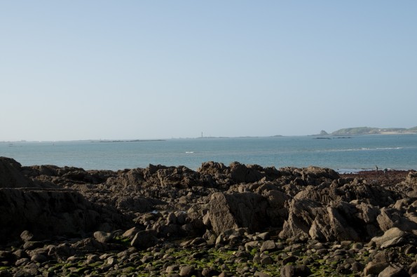 DSC_0063