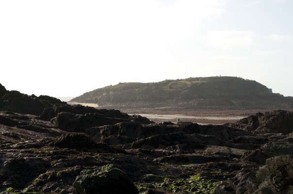 DSC_0062