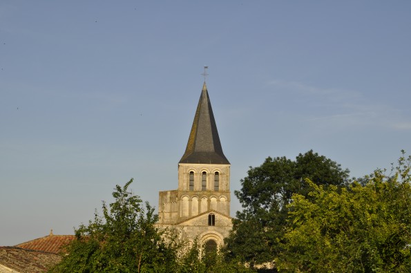_DSC0096