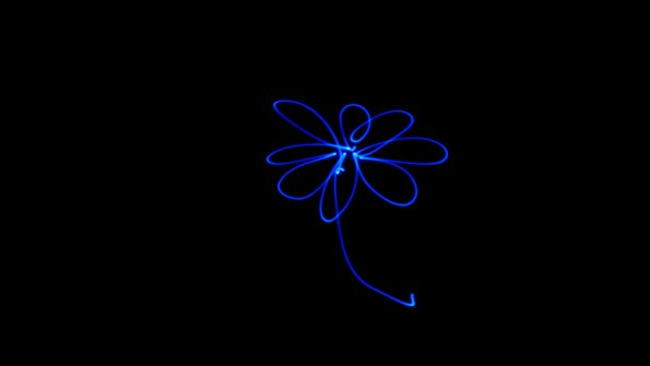 Flower_LightPainting